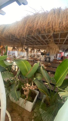シャルム・エル・シェイクにあるSharm Hills Luxury Pool Viewのギャラリーの写真