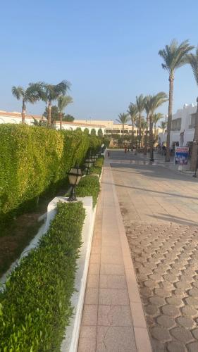 シャルム・エル・シェイクにあるSharm Hills Luxury Pool Viewのギャラリーの写真