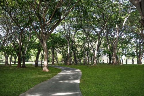 a path in a park with trees and grass at The Buenaventura Golf & Beach Resort, Autograph Collection in Playa Blanca