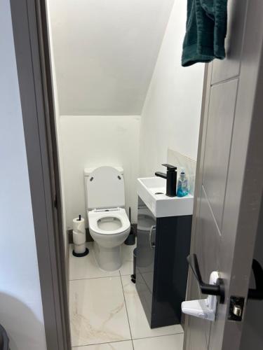 a small bathroom with a toilet and a sink at Saunders Lodge 4bedroom house sleeps up to 6 in Gillingham