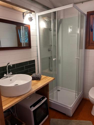 a bathroom with a sink and a shower at Chatka 2 nad Liwcem in Iły