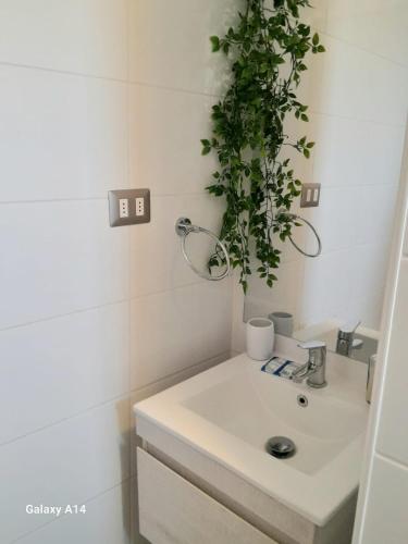a bathroom with a sink with a plant on the wall at Departamento Central Vip in Antofagasta
