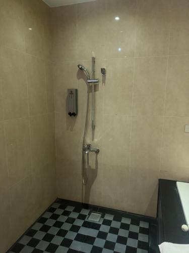 a shower stall in a bathroom with a checkered floor at Fairy Tale City Motel in Hualien City