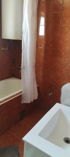 a bathroom with a sink and a bath tub at Stamenkovic apartman in Vranje