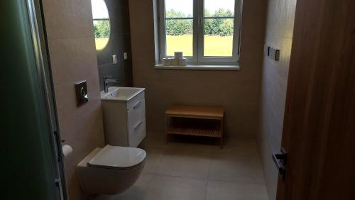 a bathroom with a toilet and a sink and a window at Apartmány Hluchá Bašta s vnitřním bazénem in České Budějovice