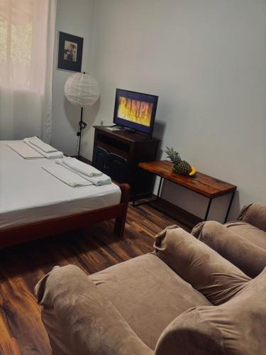 a living room with a couch and a tv at Villa Srna Apartments 