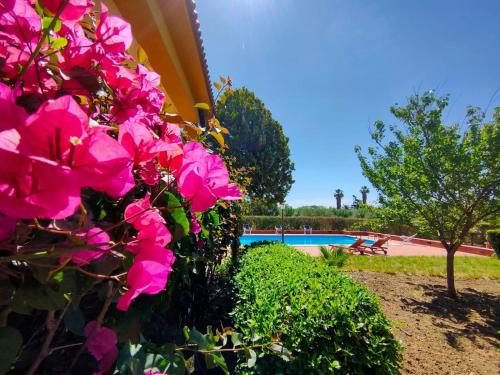 a bunch of pink flowers next to a swimming pool at Villa degli ulivi in Pietraperzia