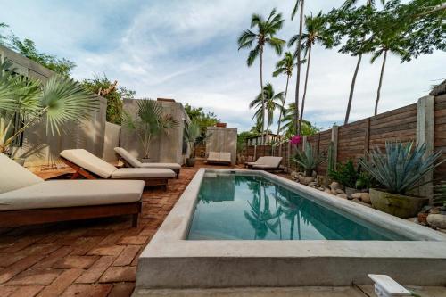 La MajahuaMinimalist Surf, Pool, AC, Icebath, Yoga, Saladita, 50m to Surf的棕榈树后院的游泳池