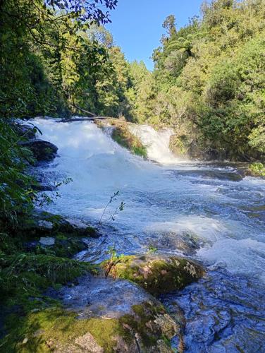a river with rocks in the middle of a forest at Pahoia Pitstop in Tauranga