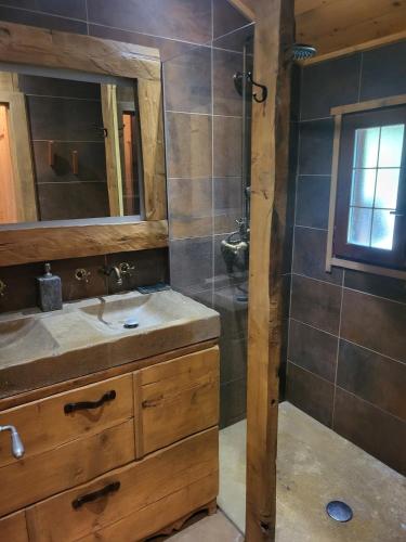 ein Badezimmer mit Waschbecken und Dusche in der Unterkunft Chalet Chamois & Spa in Lullin