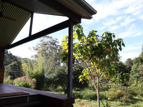 Κήπος έξω από το Hideaway Falls - Piccabeen Cabin
