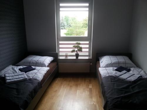 Fotografia z galérie ubytovania Yacht Apartament v destinácii Giżycko