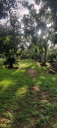 a park with trees and a field of grass at Aastha homestay in Mysore