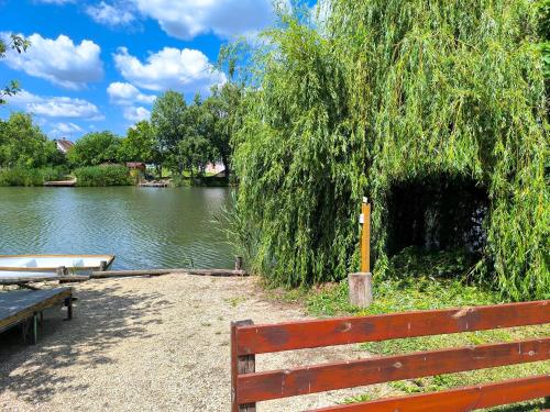a park bench next to a river with a tree at Linetta Vendégház in Gyomaendrőd