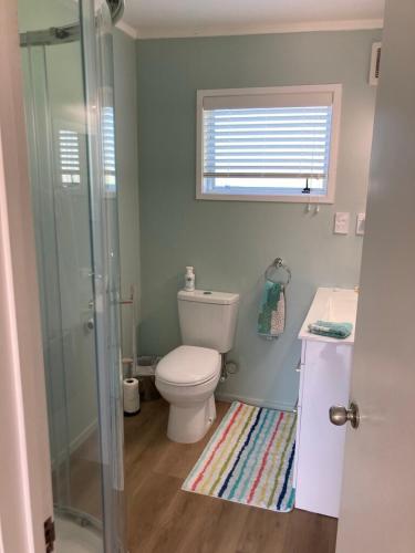 a bathroom with a toilet and a sink and a shower at Maraetai Beachfront bliss one bedroom apartment in Maraetai