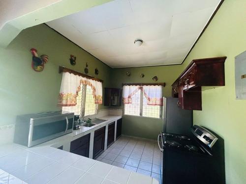 a kitchen with green walls and a black refrigerator at Cozy house, close to the beach in Tulian Campo in Tulián