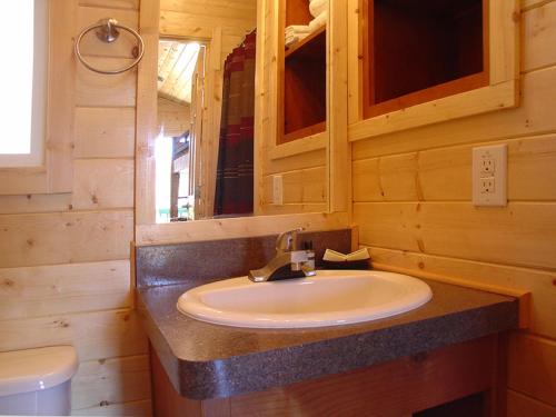 Kylpyhuone majoituspaikassa Verde Valley Studio Cabin 2
