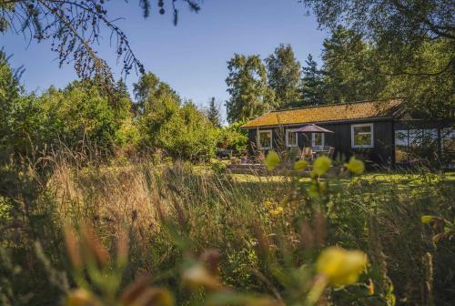 a house in the middle of a field at Ideal Holiday Home For Nature And Peace in Gørlev