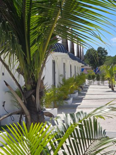 a group of palm trees and plants on a sidewalk at White Beach Resort Longset in Koh Rong Island
