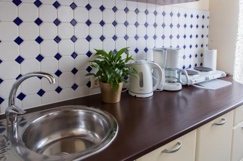 a kitchen counter with a sink and a plant at Videviku Villa Apartments in Tallinn