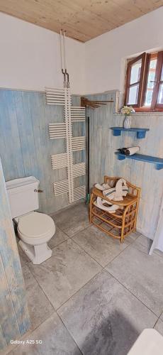 a bathroom with a toilet and a sink at Farma Hermína in Jilemnice