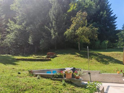 a small boat in a grassy yard with plants at Holiday House Provance in Brod na Kupi