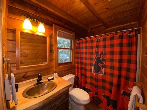 un bagno con lavandino e servizi igienici in una cabina di Cozy Haven - Mountain View, Hot Tub, Fire Pit a Blue Ridge