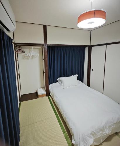 1 stop in Ikebukuro,Direct access to Shinjuku,Shibuya,Tokyo Station and Tokyo Dome,Japanese-style single-family house,2-story detached house,MAX7