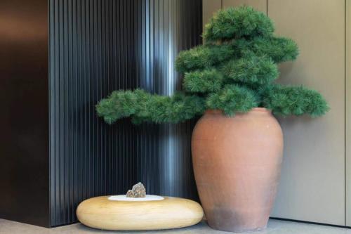 a plant in a vase sitting next to a wooden bowl at JI Hotel Beijing Liuliqiao East Subway Station in Beijing