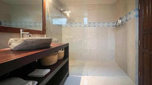 a bathroom with a sink and a shower at Villa Brahmari in Ubud
