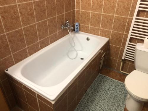 a bathroom with a tub and a toilet at Ubytovňa pri Jazere in Bratislava