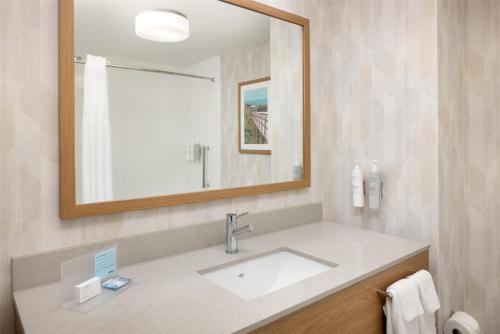 a bathroom with a sink and a mirror at Hampton Inn & Suites Jekyll Island in Jekyll Island