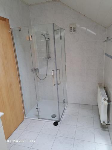 a shower with a glass door in a bathroom at Weisses Haus in Brienz