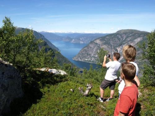 three boys standing on a hill taking a picture of a lake at 3 person holiday park home, Lærdal in Lærdalsøyri