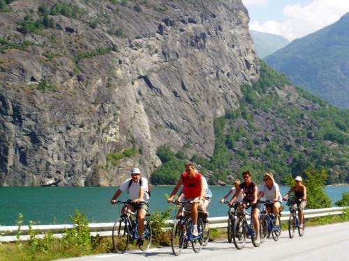 a group of people riding bikes down a road at 3 person holiday park home, Lærdal in Lærdalsøyri