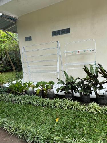 Сад в Rumah Cahaya Syariah