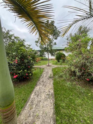 a stone path in a garden with a palm tree at N résidence 