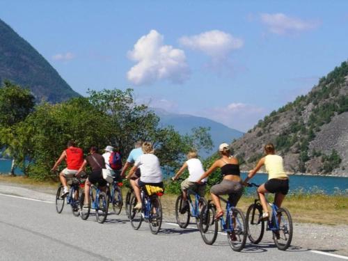 a group of people riding bikes down a road at 5 person holiday park home in Lærdal in Lærdalsøyri