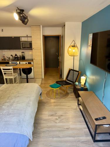 a bedroom with a bed and a living room at Studio Centre-ville de Vannes in Vannes