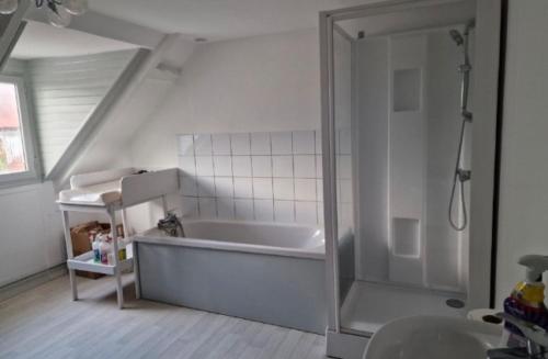 a bathroom with a shower and a bath tub at La petite auberge 