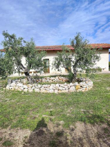 a house with two trees and a stone wall at B&B Biobonizio PIERLUIGI in Montegrosso