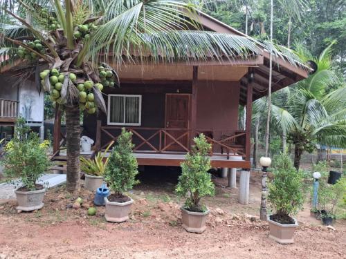 Taman di luar ฟาดิลบังกะโล Fadel bungalow