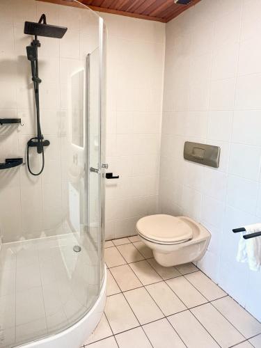 a bathroom with a shower and a toilet at Guesthouse am See LOOM in Plescherken
