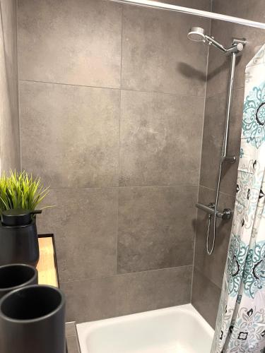 ein Badezimmer mit Dusche und Badewanne in der Unterkunft Ferienwohnung Wanderglück Latrop in Schmallenberg