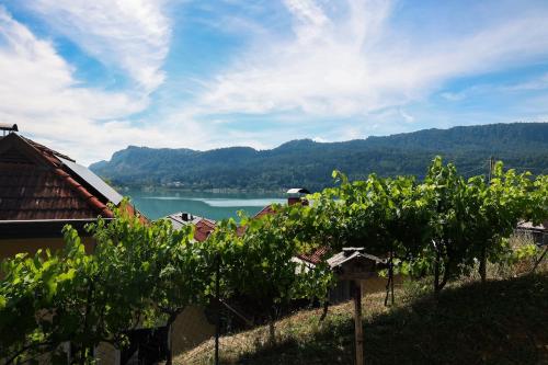 Guesthouse am See LOOM