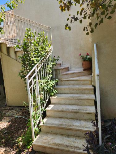 a staircase leading up to a building with a plant at סוד הנחלים in Sede Neẖemya