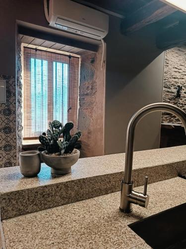 a plant in a bowl on a counter next to a sink at Dona Remedios in Xermade
