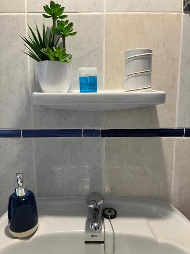 a bathroom sink with a soap dispenser and plants on a shelf at Admirals Suite, Gibraltar in Gibraltar