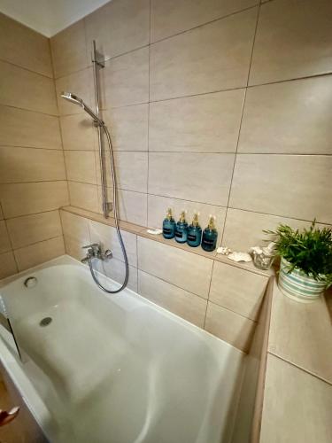 a bathroom with a shower and a bath tub at Remora Apartman Balatonszemes in Balatonszemes