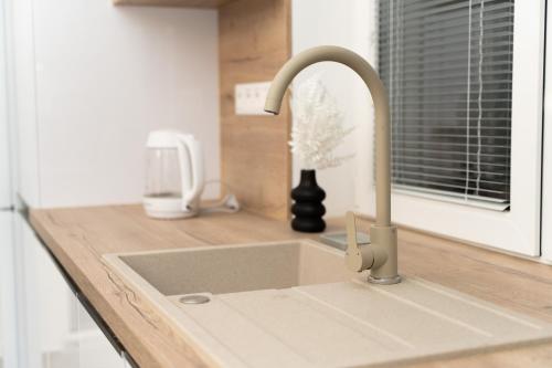 a kitchen counter with a sink in a kitchen at Pet-house in Trstice